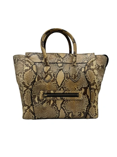 Celine Luggage Medium Python In Brown