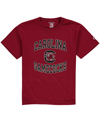 Champion Big Boys And Girls  Garnet South Carolina Gamecocks Circling Team Jersey T-shirt In Garnet