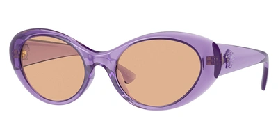 Versace Women's 53mm Purple Transparent Sunglasses Ve4455u-5353-3-53 In Brown / Dark / Purple