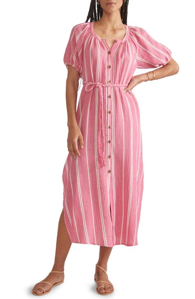 Marine Layer Stripe Belted Double Cloth Midi Shirtdress In Fuschia Stripe