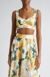 Dolce & Gabbana All-over Print Top Bustier In Rose Gialle