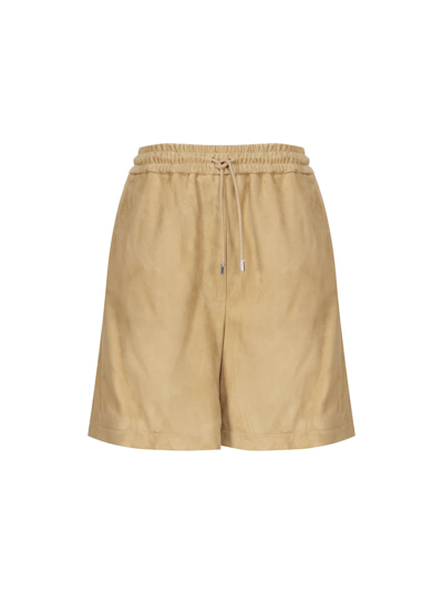 Loewe Mid-rise Suede Shorts In Gold