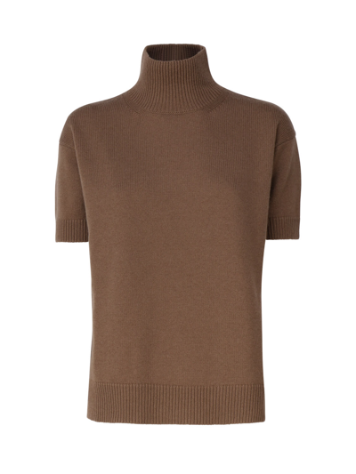 's Max Mara Wool And Cashmere Turtleneck In Brown