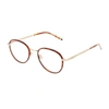 Zeiss Zs22104 Eyeglasses In 243 Gold/turtle