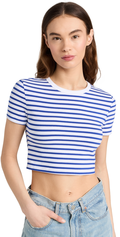 Denimist Cropped Baby Tee White W/ Royal Blue Stripe In White W/royal Blue Stripe