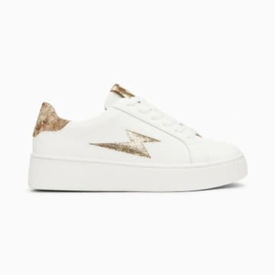 Vanessa Wu Joy White And Gold Storm Lace-up Sneakers