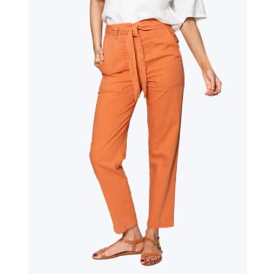 Hartford Pantalon Pila  In Orange