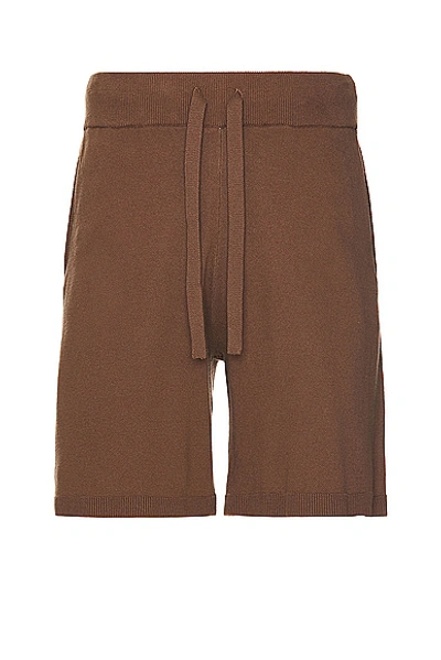 Wao Fully Knitted Short In Brown