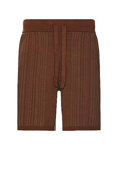 Wao Fully Knitted Pattern Short In Brown & Taupe