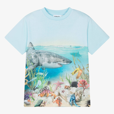 Molo Teen Boys Blue Sea Creature T-shirt