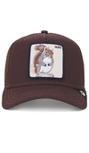 GOORIN BROTHERS THE NUTS SQUIRREL HAT