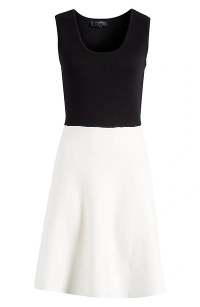 Tahari Asl Colourblock Sleeveless Jumper Dress In Ivory Black