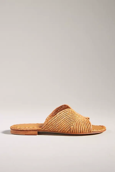 Carrie Forbes Salon Woven Slide Sandals In Brown