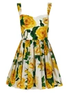 Dolce & Gabbana Rose Print Pleated Poplin Mini Dress