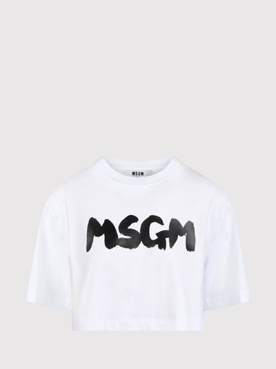 Msgm Logo-print Cropped T-shirt In Black