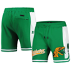 Pro Standard Men's  Green Florida A&m Rattlers Script Tail Dk 2.0 Shorts In Green