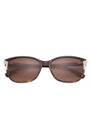 Ted Baker 56mm Rectangular Sunglasses In Tortoise