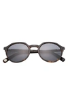 Ted Baker 51mm Polarized Round Sunglasses In Tortoise