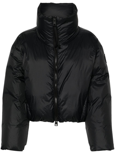 Canada Goose Spessa Cropped Jacket In Black