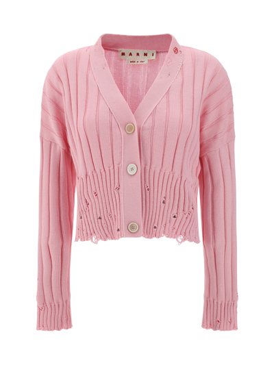 Marni Cardigan In Pink Gummy