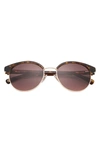 Ted Baker 54mm Round Sunglasses In Tortoise