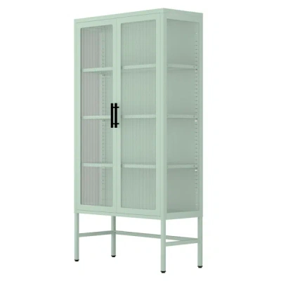 Simplie Fun Double Glass Door Storage Cabinet In Transparent