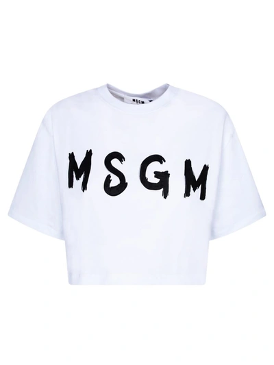 Msgm T-shirts In White