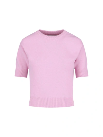 Sa Su Phi Sweaters In Pink