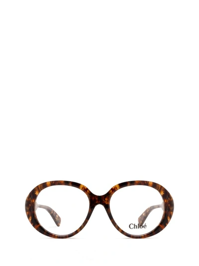 Chloé Eyeglasses In Havana