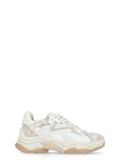Ash Addict Sneakers In White