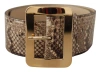 Dolce & Gabbana Brown Exotic Wide Waist Leather Gold Metal Buckle Belt In Brown