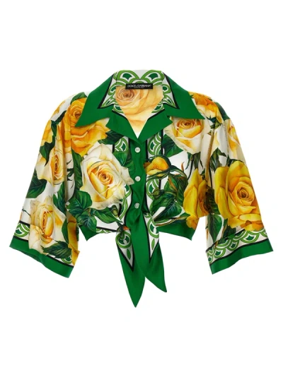 Dolce & Gabbana Rose Gialle Dresses In Green