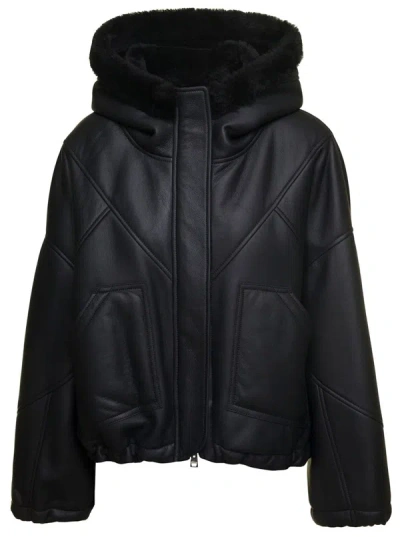 Blancha Black Cropped Hooded Shearling Jacket In Merino