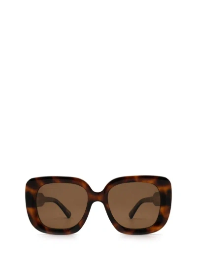 Chimi Sunglasses In Tortoise