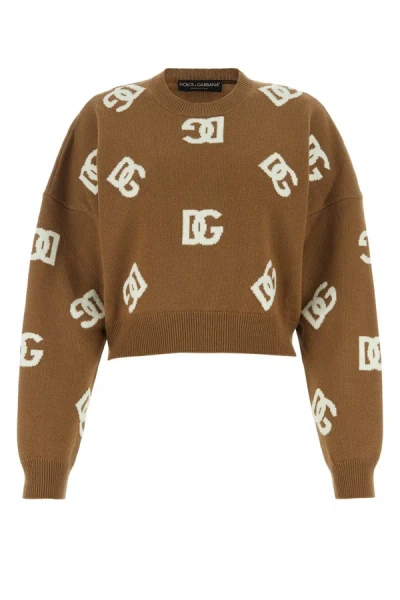 Dolce & Gabbana Knitwear In Brown