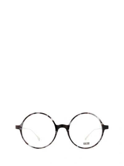 Kaleos Eyeglasses In Blue Havana & Silver