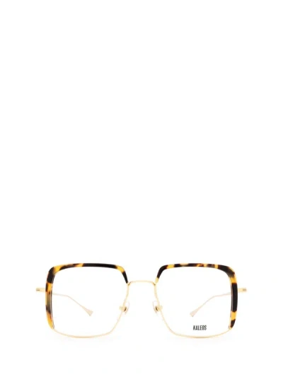 Kaleos Eyeglasses In Gold & Dark Havana