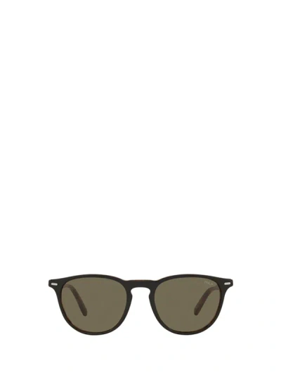Polo Ralph Lauren Sunglasses In Shiny Black Havana