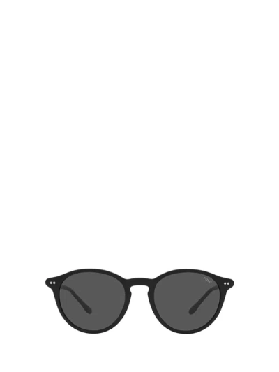 Polo Ralph Lauren Sunglasses In Shiny Black