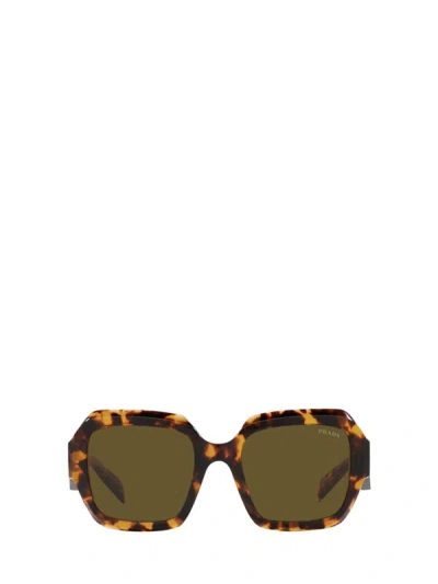 Prada Eyewear Sunglasses In Sage / Honey Tortoise