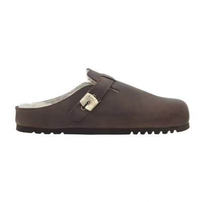 Scholl Tom Shoes In 1019 Dk Brown