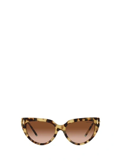 Tiffany & Co . Sunglasses In Yellow Havana