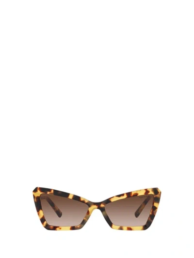 Tiffany & Co . Sunglasses In Yellow Havana