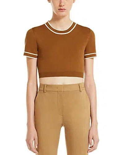 Max Mara Uscio Striped-trim Knit Crop Top In Brown