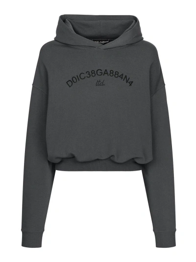 Dolce & Gabbana Cropped Hoodie With Dolce&gabbana Logo In Grey