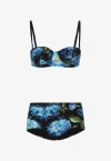 Dolce & Gabbana Bluebell Balconette Bikini Set In Multicolor