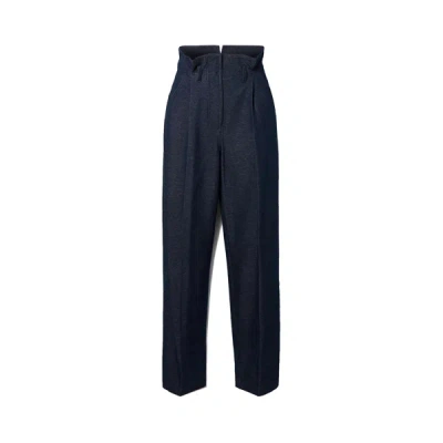 Max Mara Bozen Cotton Pants In Blue