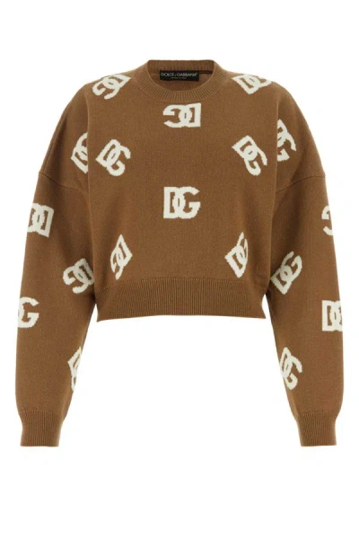 Dolce & Gabbana Knitwear In Brown