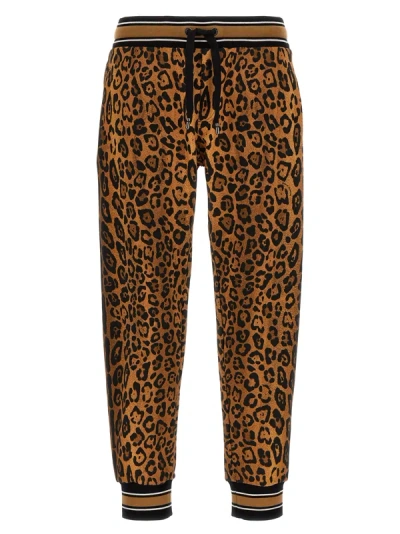 Dolce & Gabbana Animalier Joggers Trousers In Brown