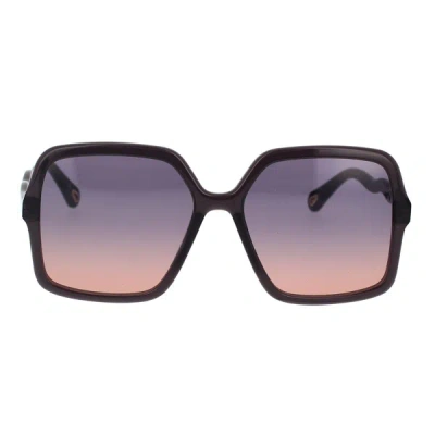 Chloé Sunglasses In Gray